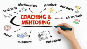 Mentorship Programs